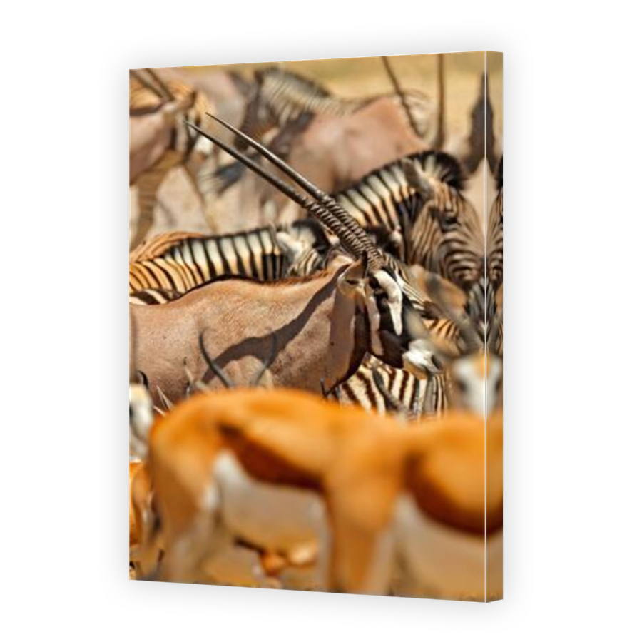 Thumbnail for Canvas - Mirror Image Canvas Wrap
