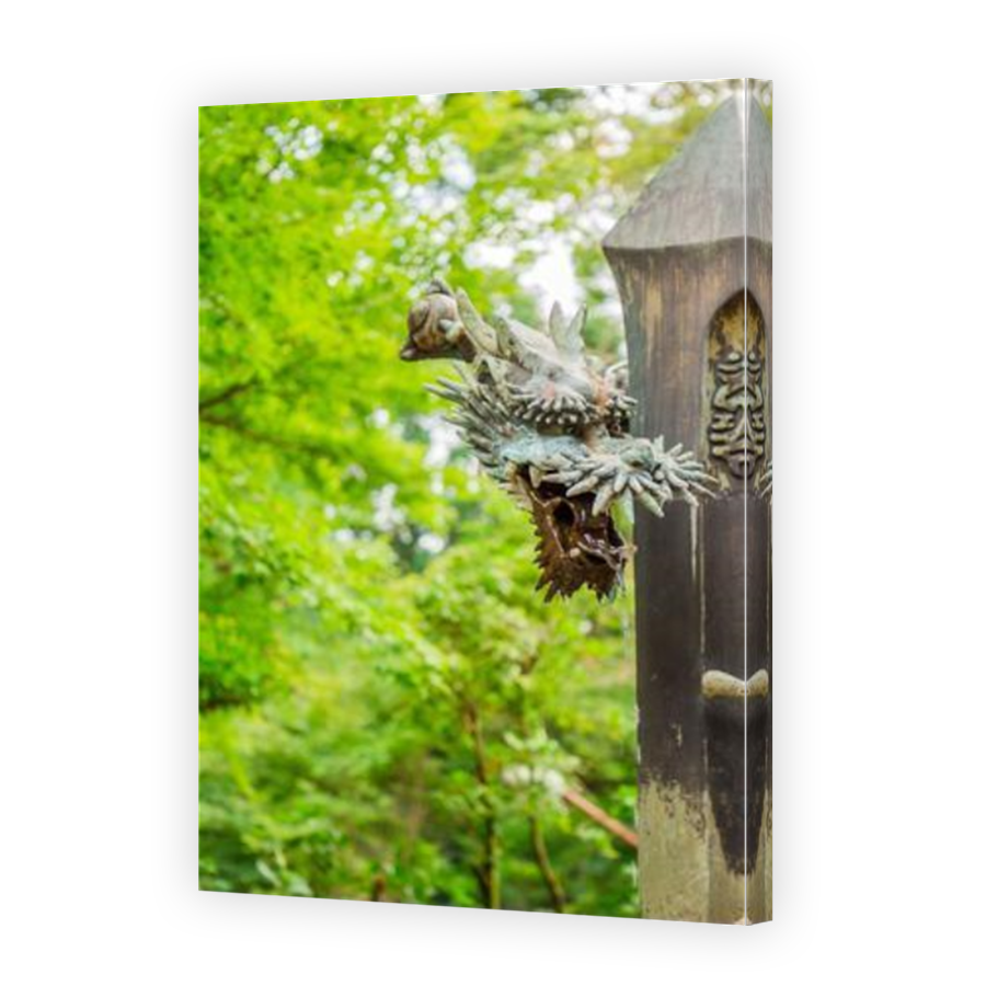 Thumbnail for Canvas - Mirror Image Canvas Wrap