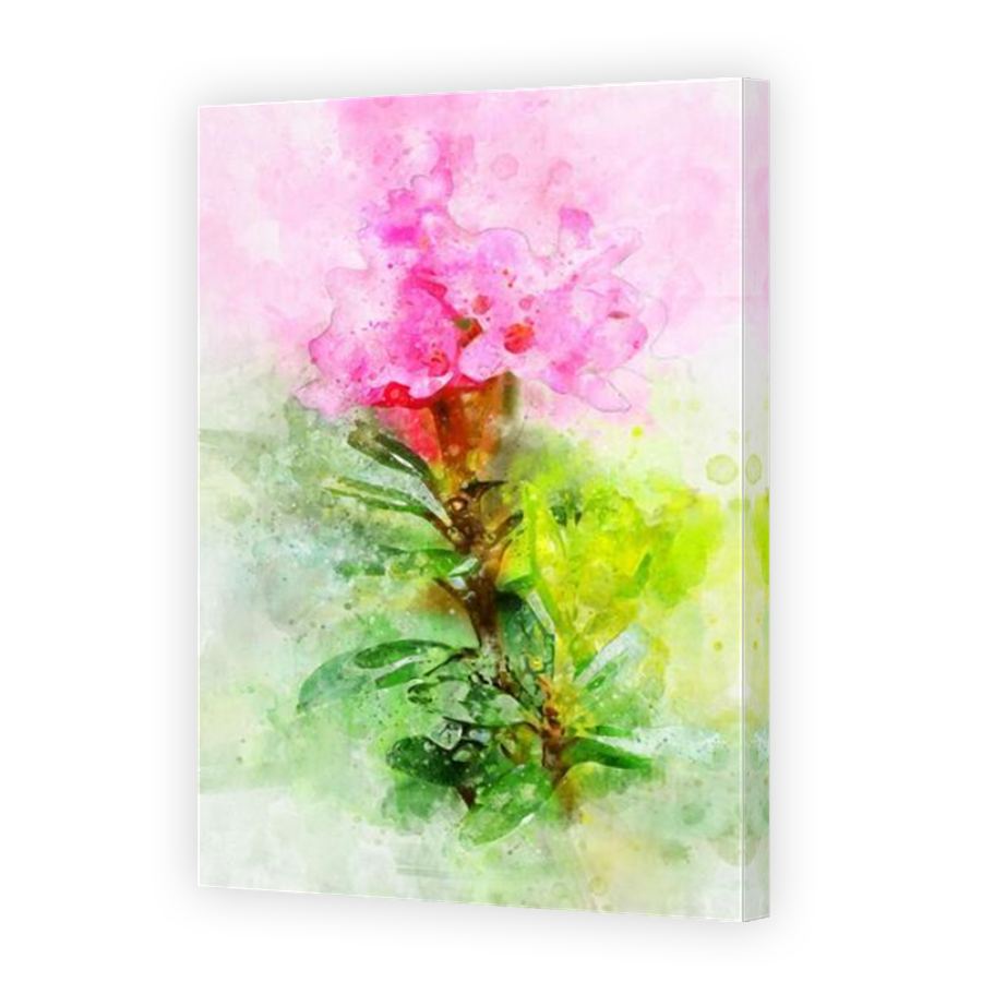 Thumbnail for Canvas - Mirror Image Canvas Wrap