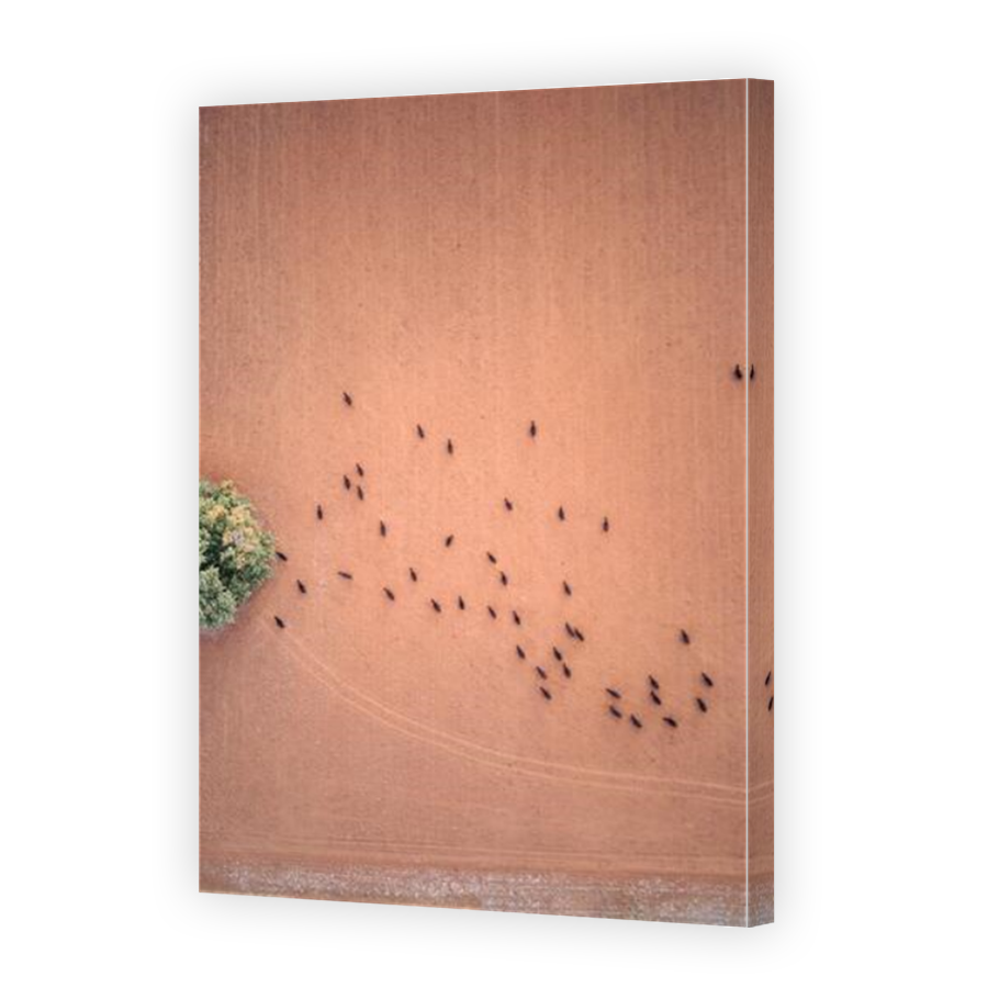 Thumbnail for Canvas - Mirror Image Canvas Wrap