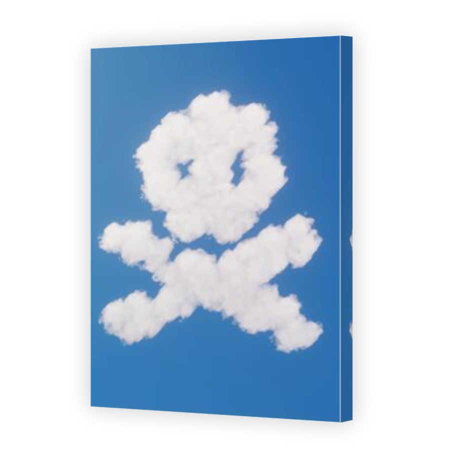 Thumbnail for Canvas - Mirror Image Canvas Wrap