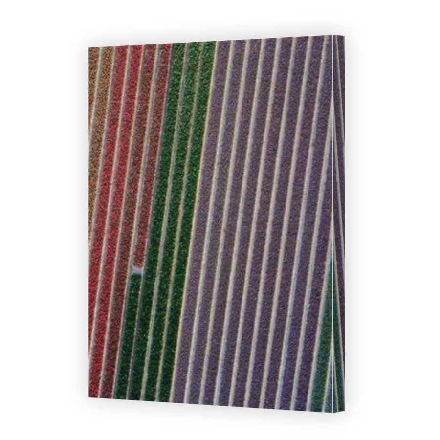 Thumbnail for Canvas - Mirror Image Canvas Wrap