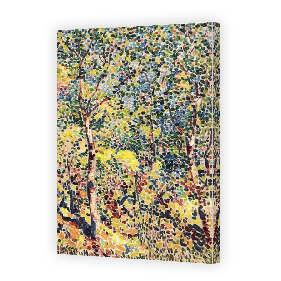 Thumbnail for Canvas - Mirror Image Canvas Wrap