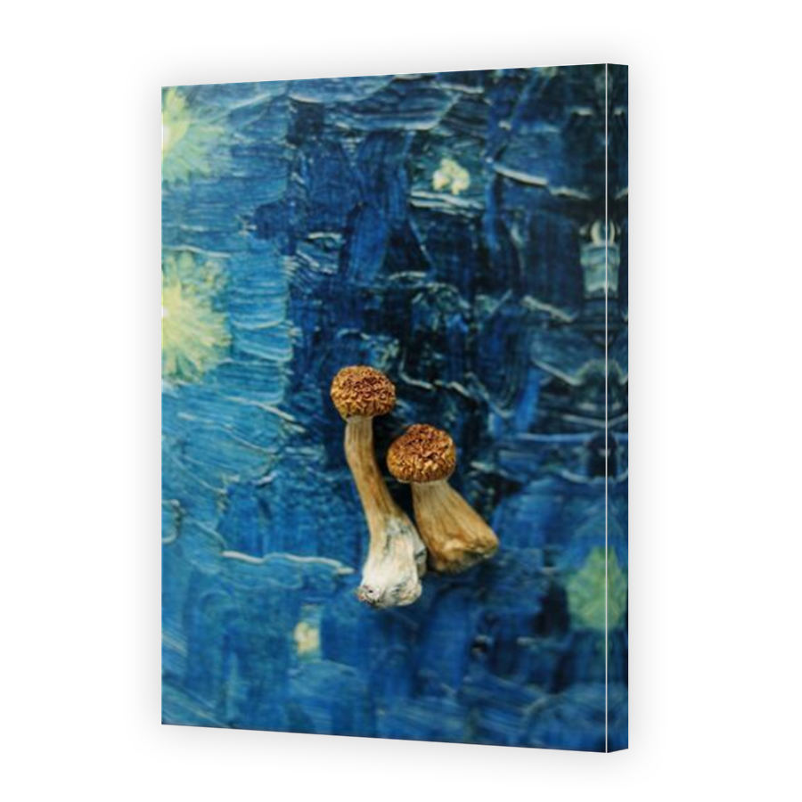 Thumbnail for Canvas - Mirror Image Canvas Wrap