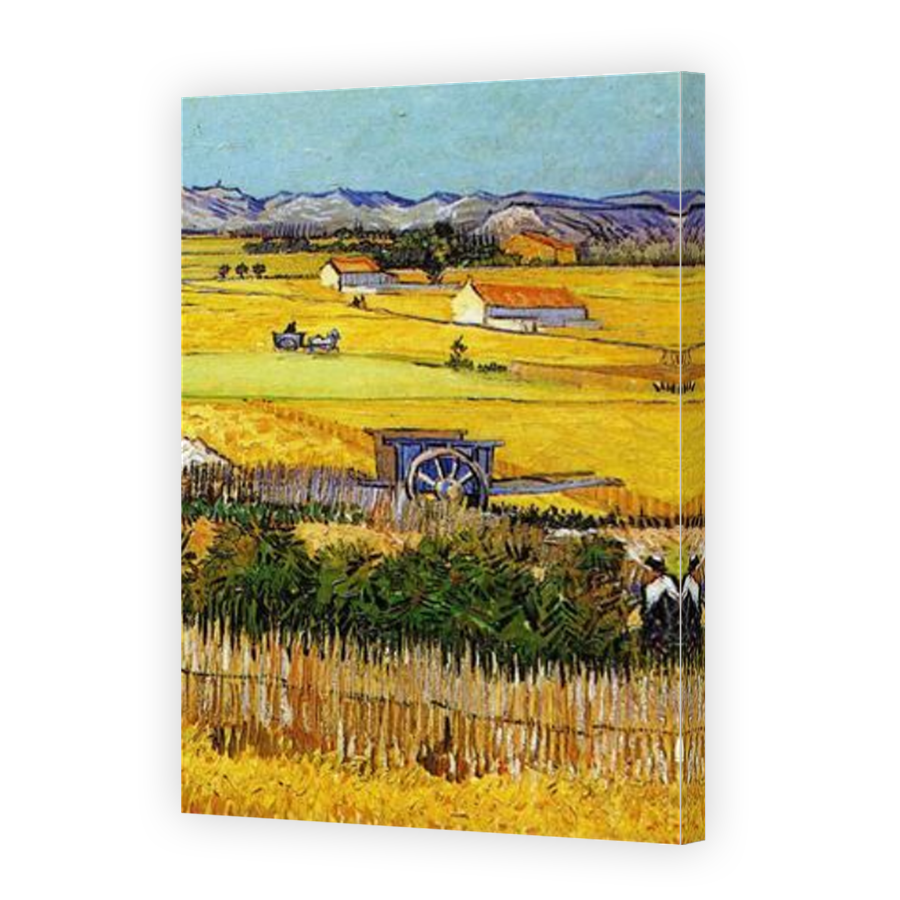 Thumbnail for Canvas - Mirror Image Canvas Wrap