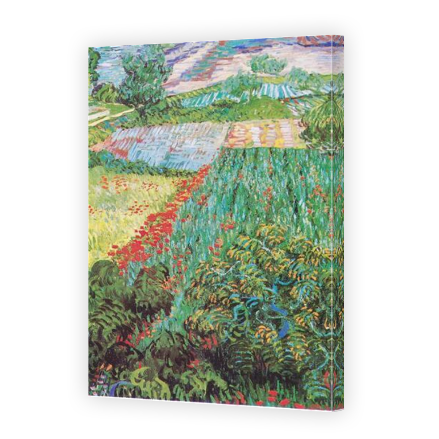 Thumbnail for Canvas - Mirror Image Canvas Wrap