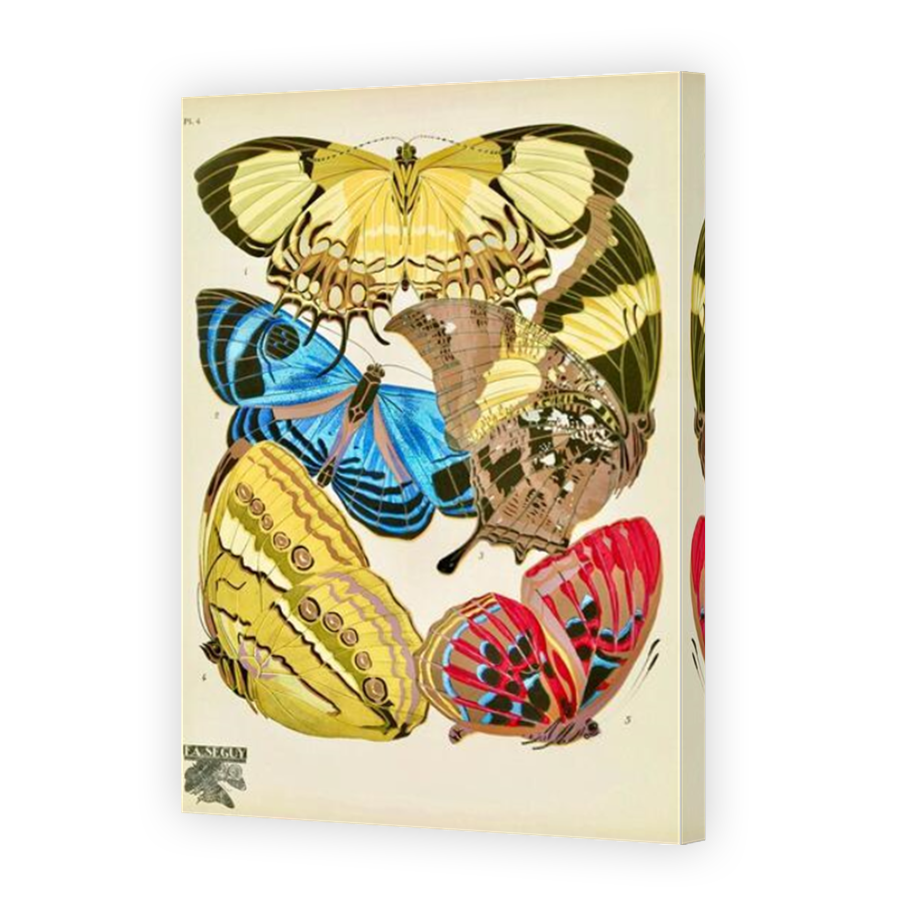 Thumbnail for Canvas - Mirror Image Canvas Wrap
