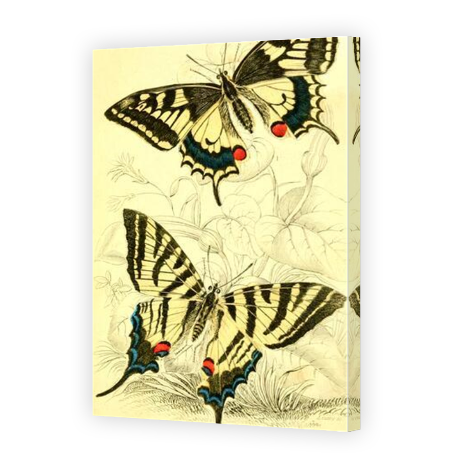 Thumbnail for Canvas - Mirror Image Canvas Wrap