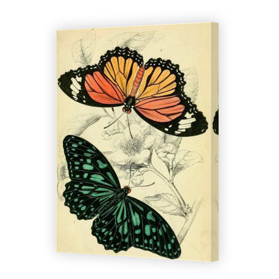Thumbnail for Canvas - Mirror Image Canvas Wrap