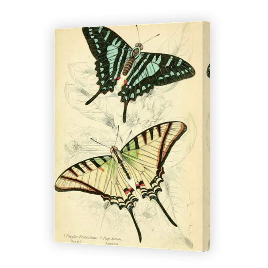 Thumbnail for Canvas - Mirror Image Canvas Wrap