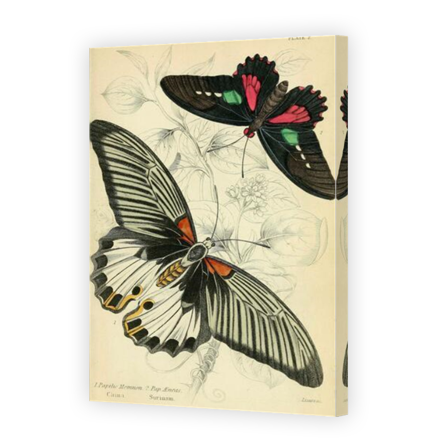 Thumbnail for Canvas - Mirror Image Canvas Wrap