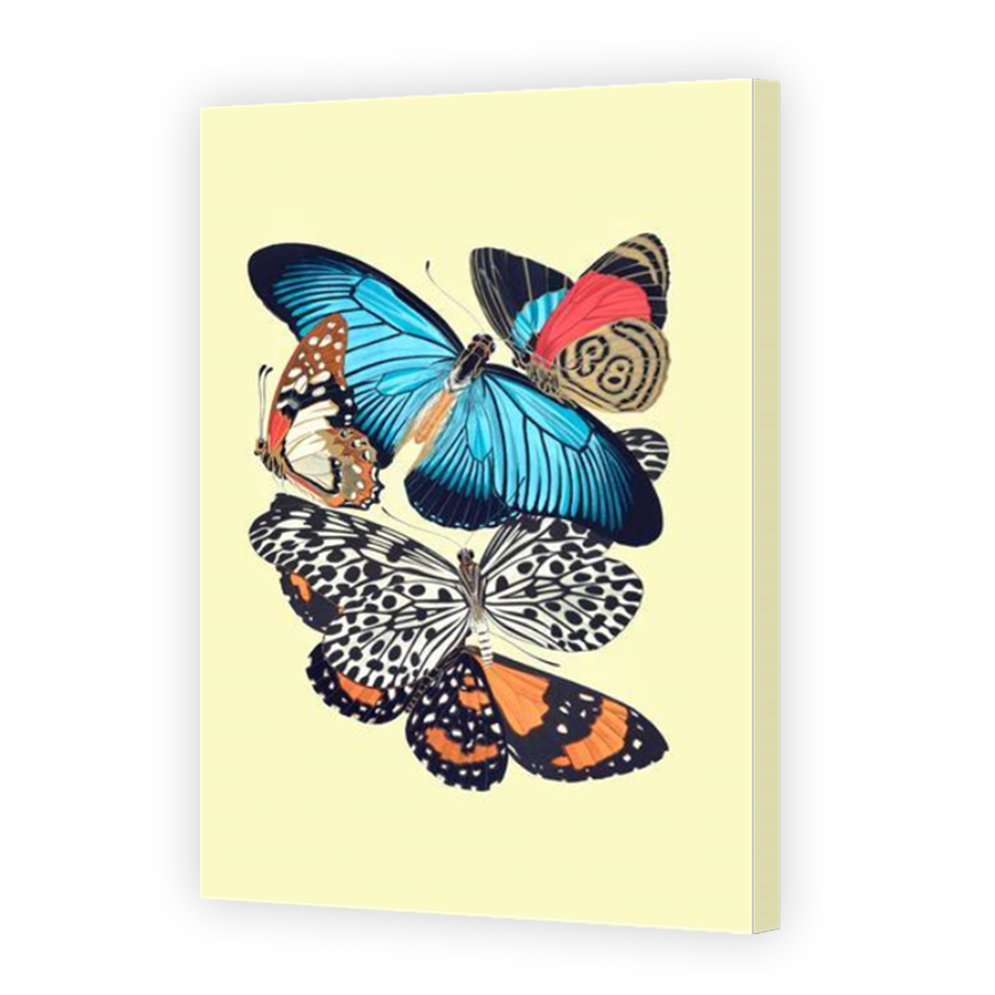 Thumbnail for Canvas - Mirror Image Canvas Wrap