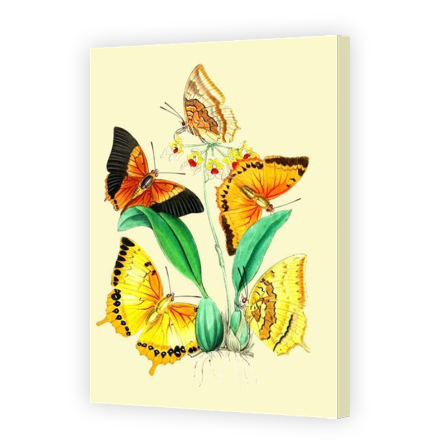 Thumbnail for Canvas - Mirror Image Canvas Wrap