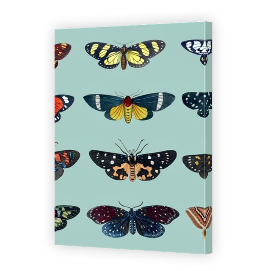 Thumbnail for Canvas - Mirror Image Canvas Wrap