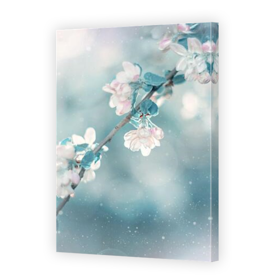 Thumbnail for Canvas - Mirror Image Canvas Wrap
