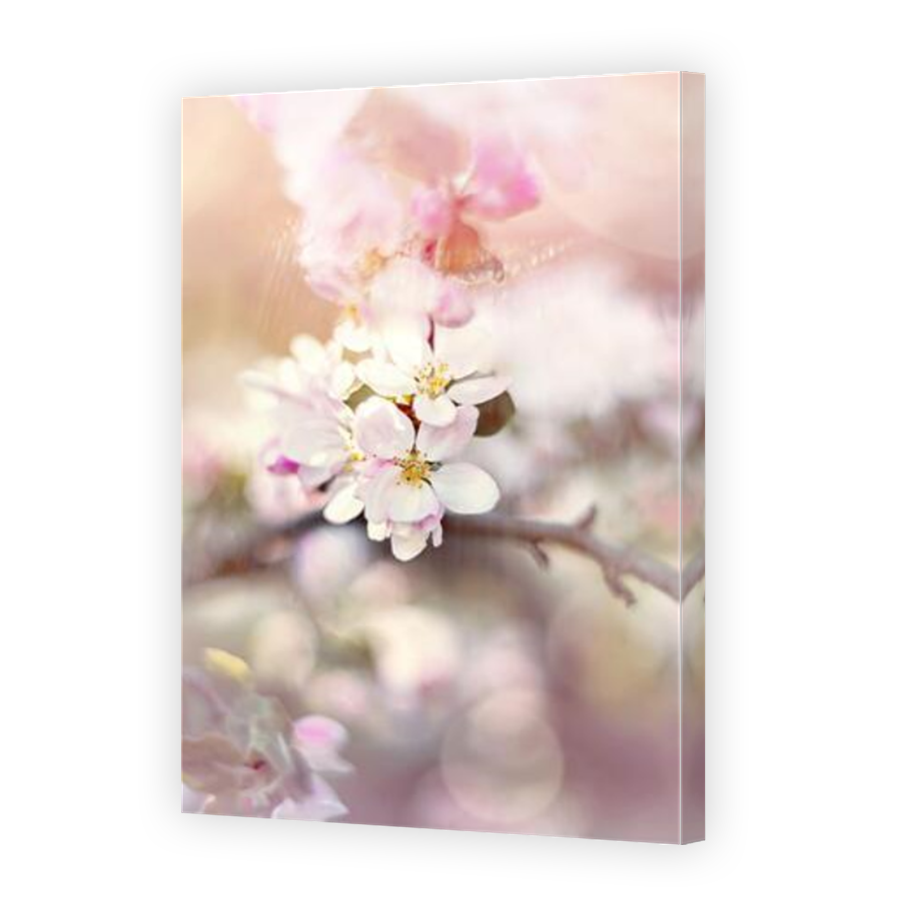 Thumbnail for Canvas - Mirror Image Canvas Wrap
