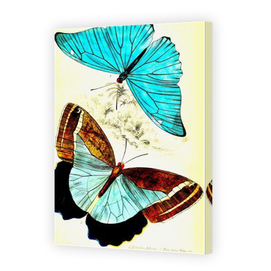 Thumbnail for Canvas - Mirror Image Canvas Wrap