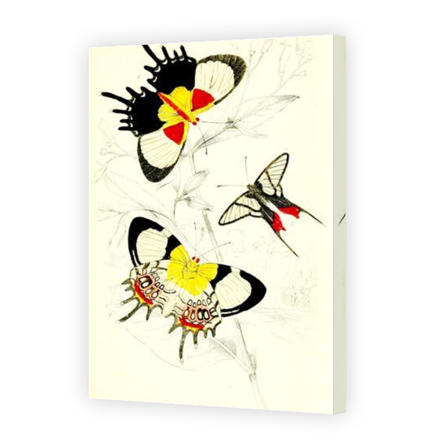 Thumbnail for Canvas - Mirror Image Canvas Wrap