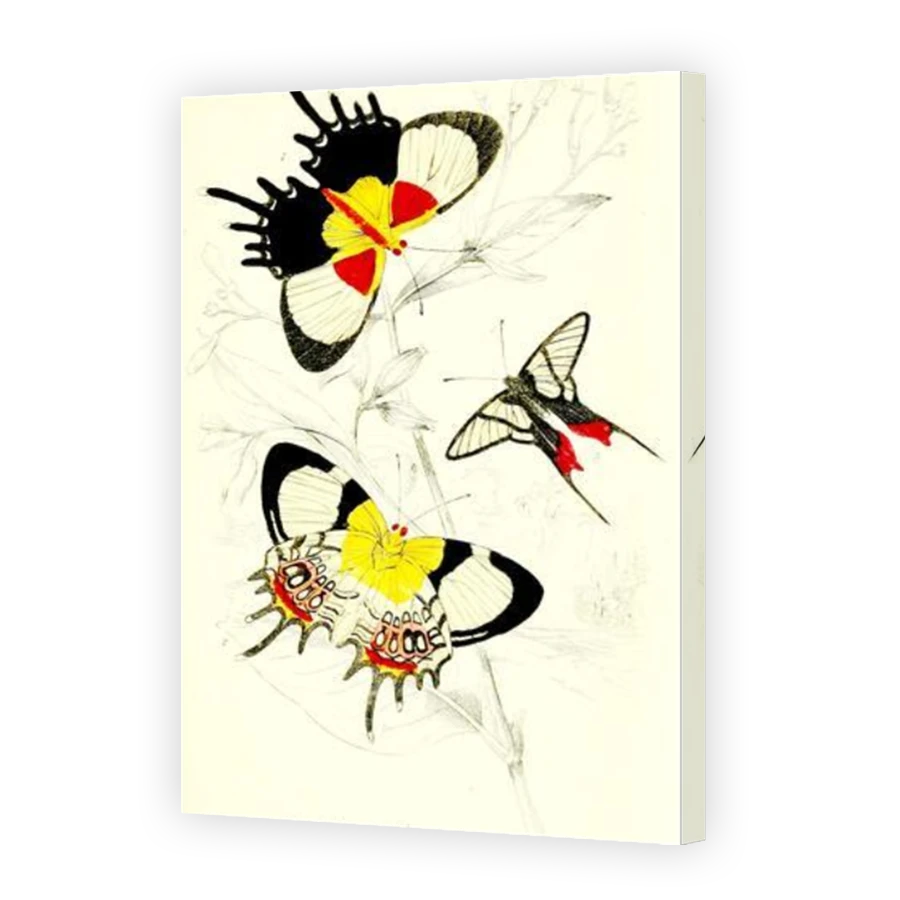 Thumbnail for Canvas - Mirror Image Canvas Wrap