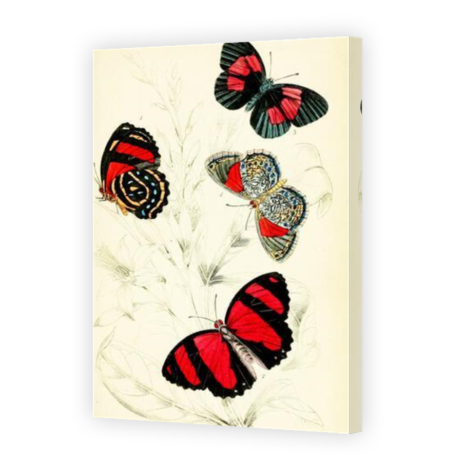 Thumbnail for Canvas - Mirror Image Canvas Wrap