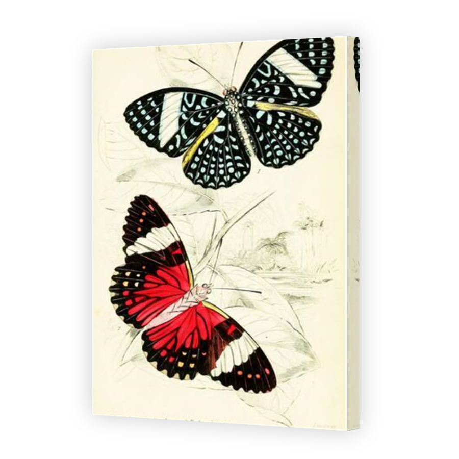 Thumbnail for Canvas - Mirror Image Canvas Wrap