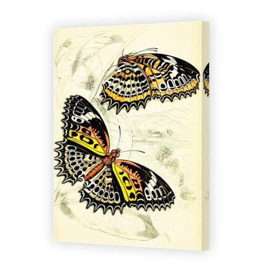 Thumbnail for Canvas - Mirror Image Canvas Wrap