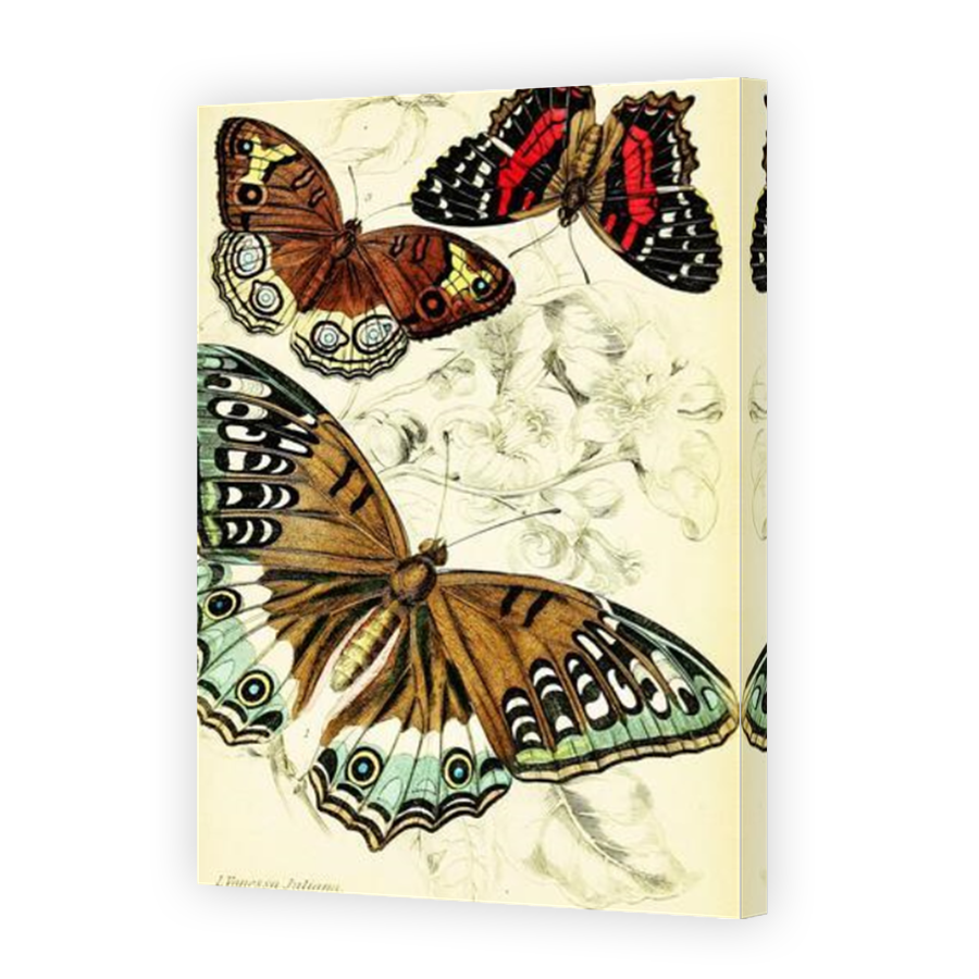 Thumbnail for Canvas - Mirror Image Canvas Wrap