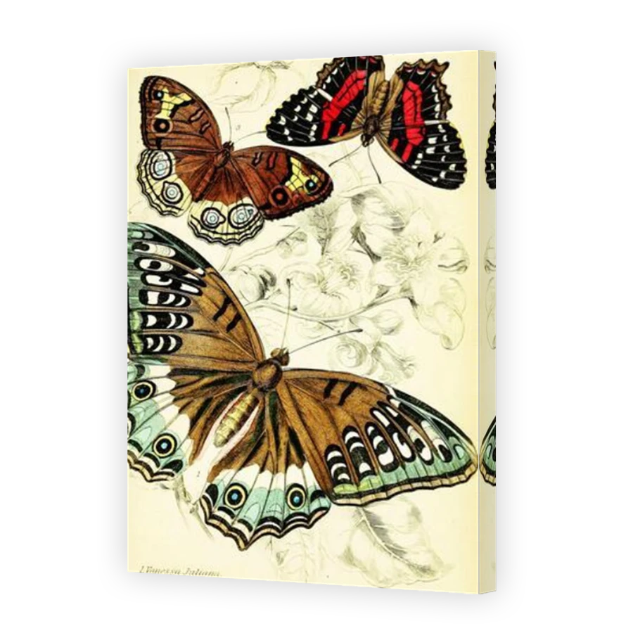 Thumbnail for Canvas - Mirror Image Canvas Wrap