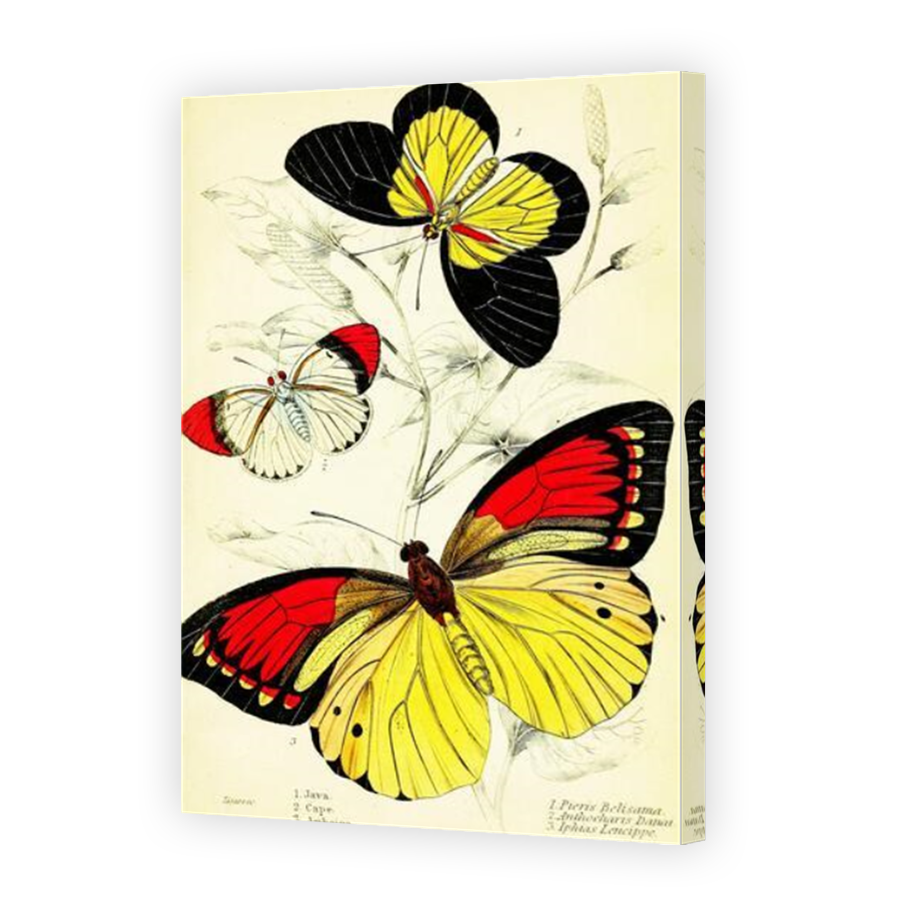 Thumbnail for Canvas - Mirror Image Canvas Wrap