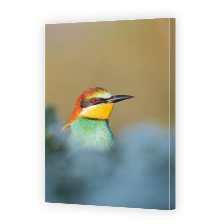 Thumbnail for Canvas - Mirror Image Canvas Wrap