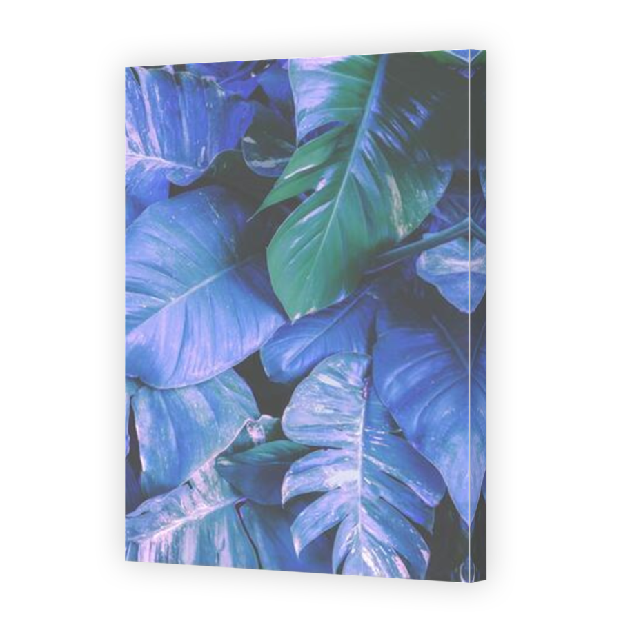Thumbnail for Canvas - Mirror Image Canvas Wrap
