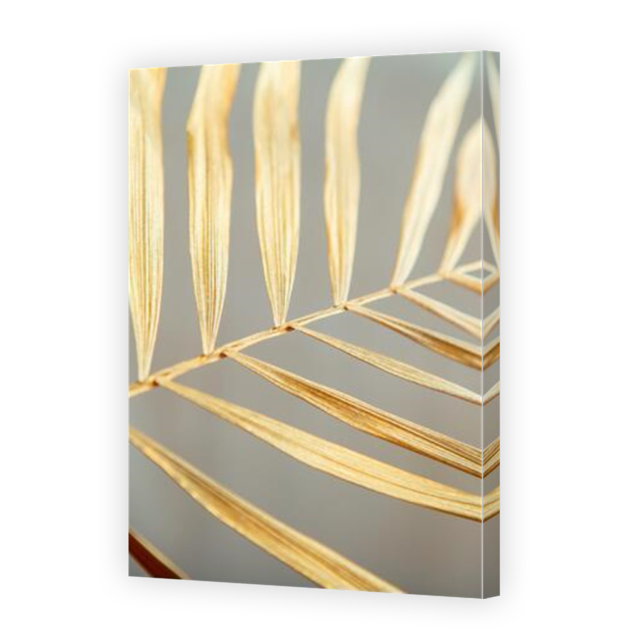Thumbnail for Canvas - Mirror Image Canvas Wrap