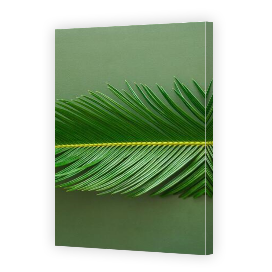 Thumbnail for Canvas - Mirror Image Canvas Wrap
