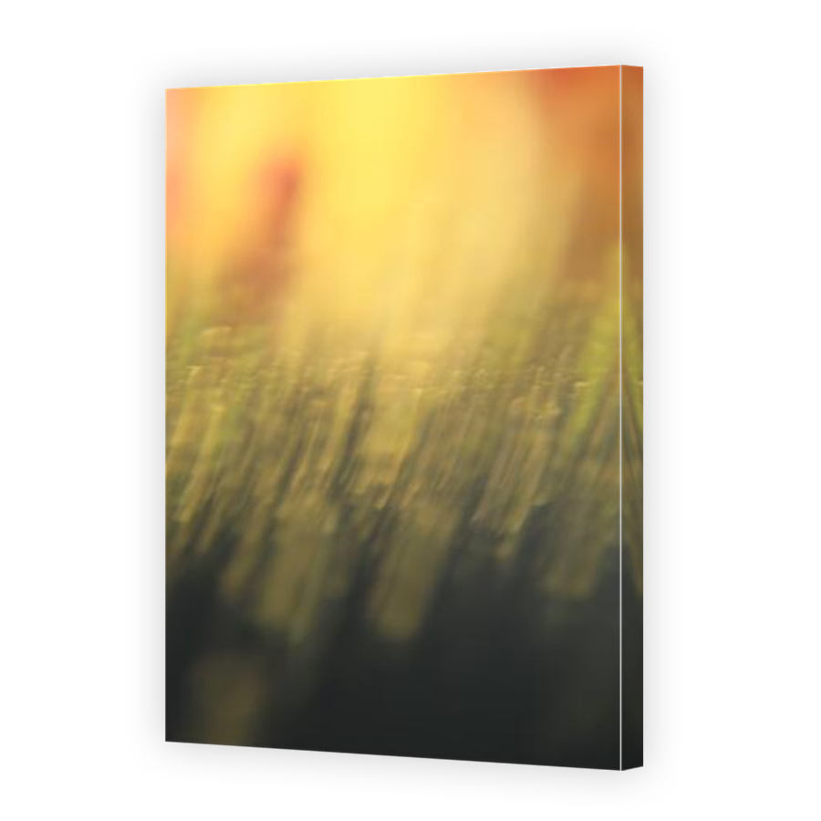 Thumbnail for Canvas - Mirror Image Canvas Wrap