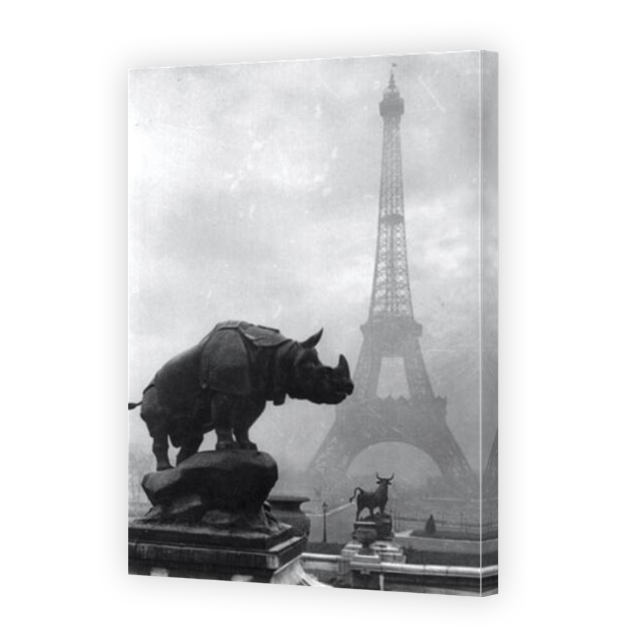 Thumbnail for Canvas - Mirror Image Canvas Wrap