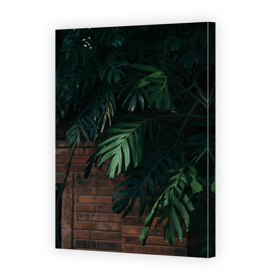 Thumbnail for Canvas - Mirror Image Canvas Wrap