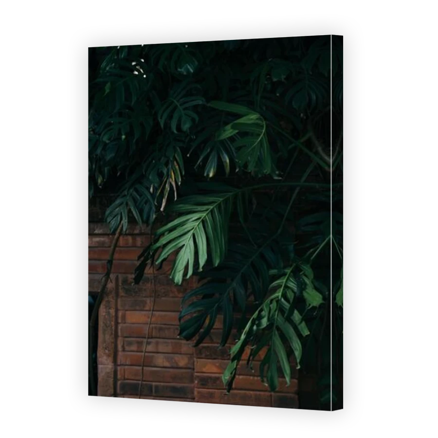 Thumbnail for Canvas - Mirror Image Canvas Wrap