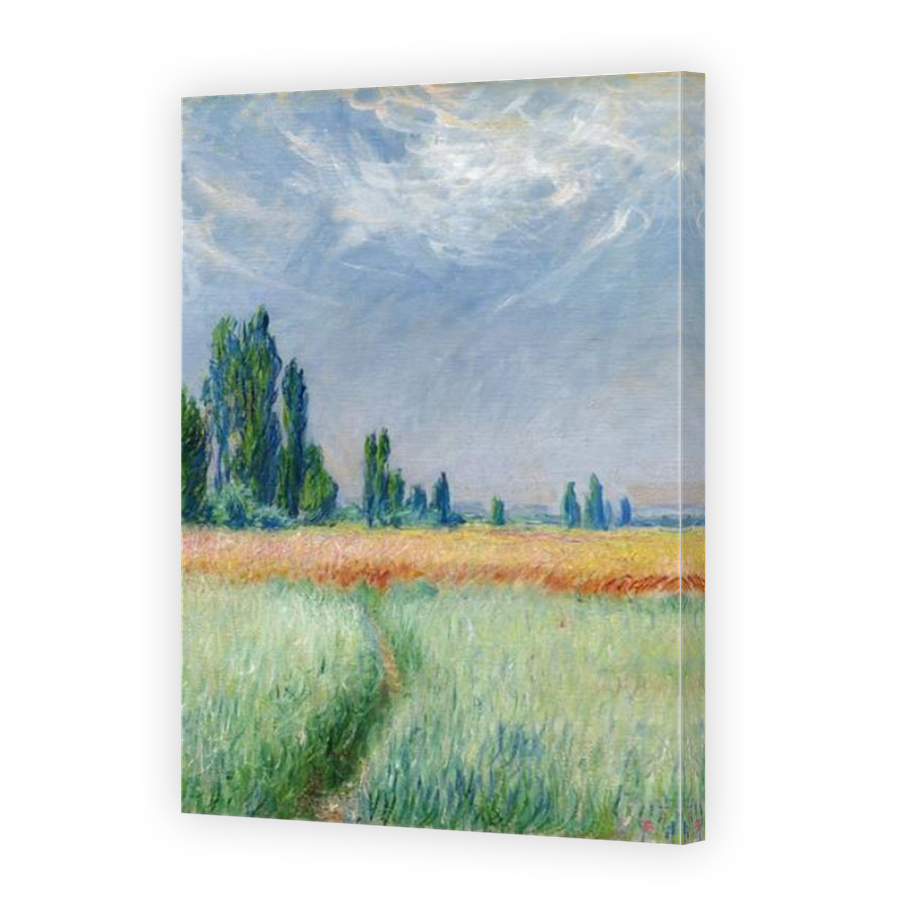Thumbnail for Canvas - Mirror Image Canvas Wrap