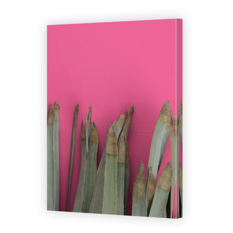 Thumbnail for Canvas - Mirror Image Canvas Wrap