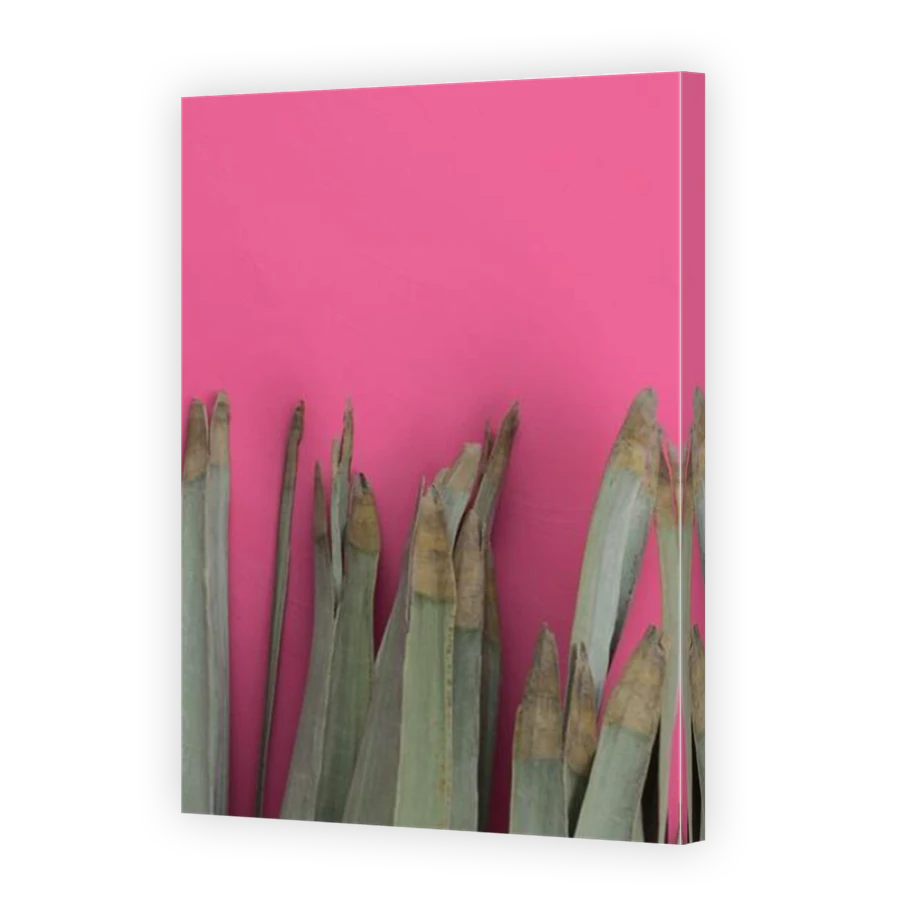 Thumbnail for Canvas - Mirror Image Canvas Wrap