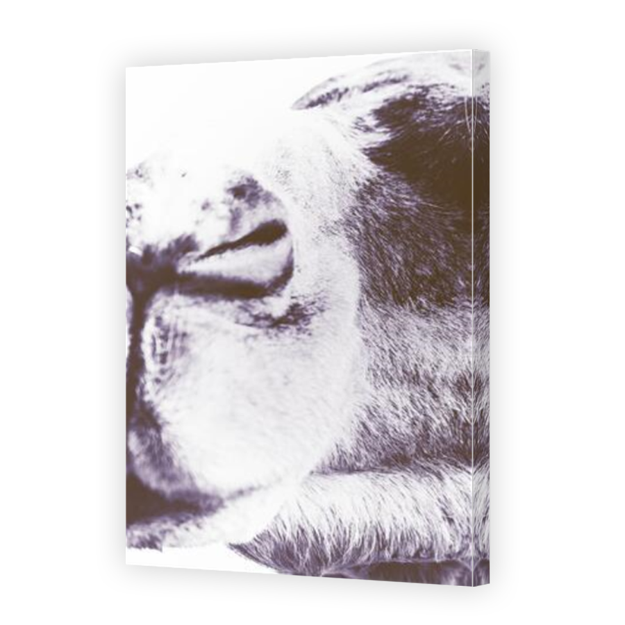Thumbnail for Canvas - Mirror Image Canvas Wrap