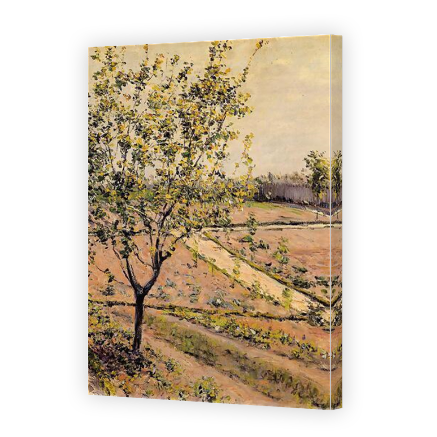 Thumbnail for Canvas - Mirror Image Canvas Wrap