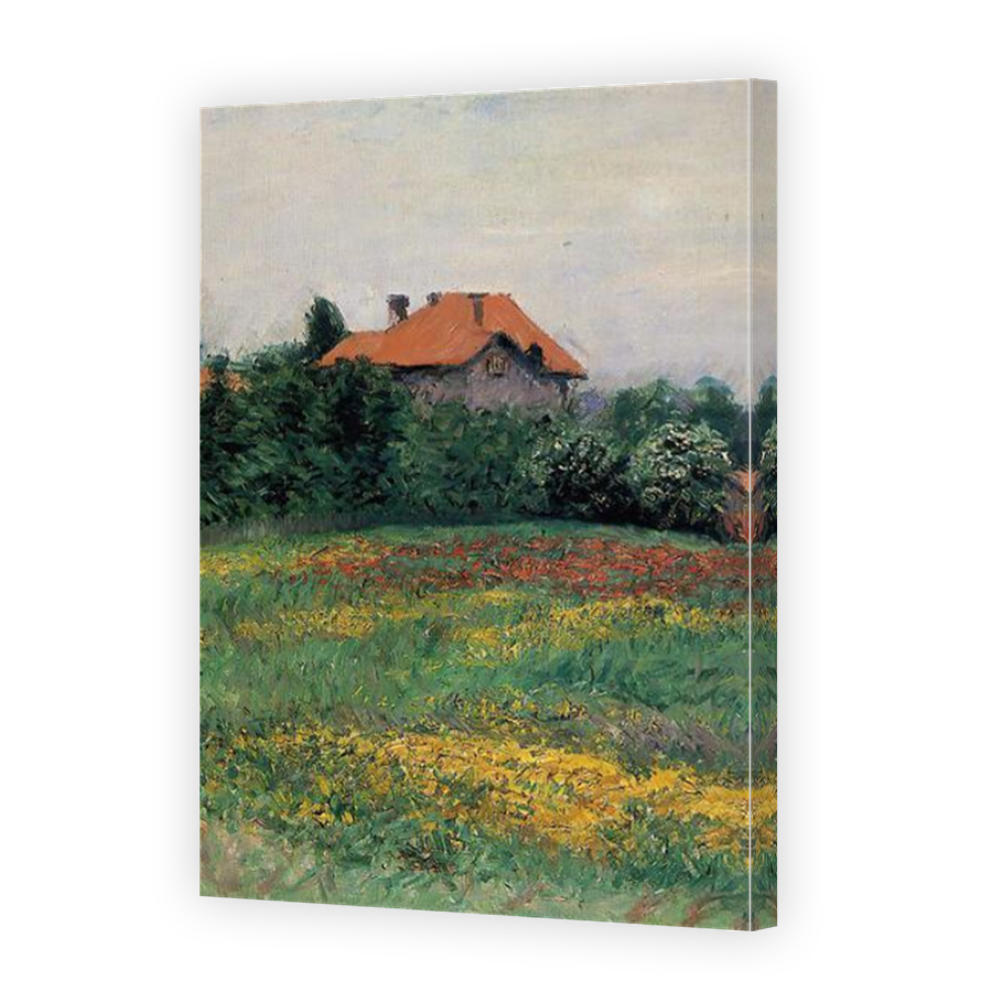 Thumbnail for Canvas - Mirror Image Canvas Wrap