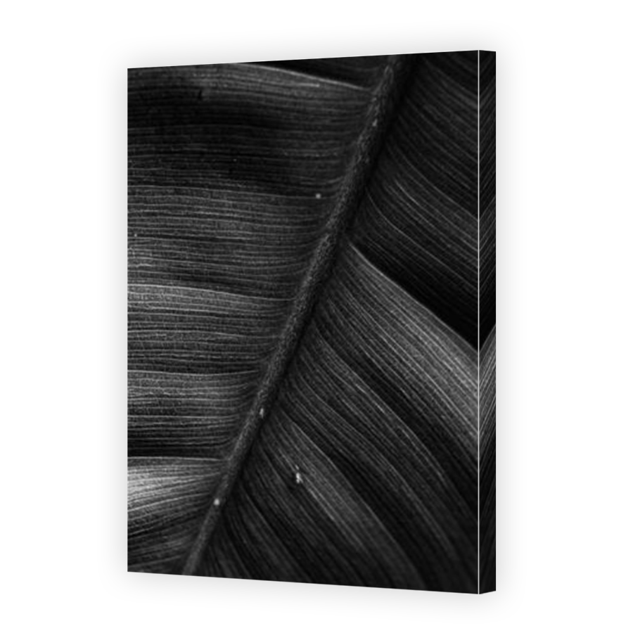 Thumbnail for Canvas - Mirror Image Canvas Wrap