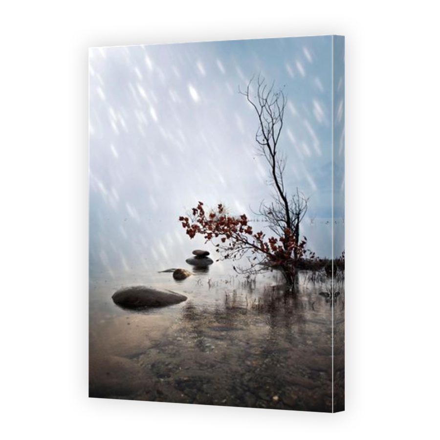Thumbnail for Canvas - Mirror Image Canvas Wrap