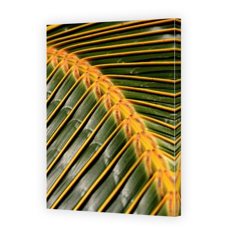 Thumbnail for Canvas - Mirror Image Canvas Wrap