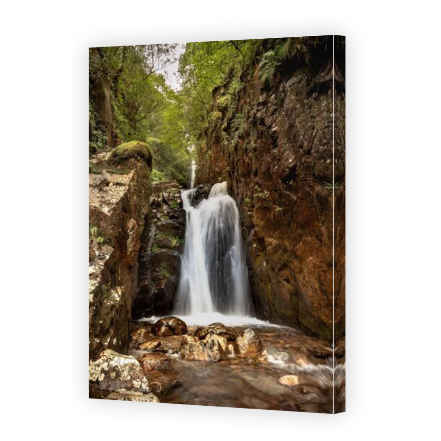 Thumbnail for Canvas - Mirror Image Canvas Wrap