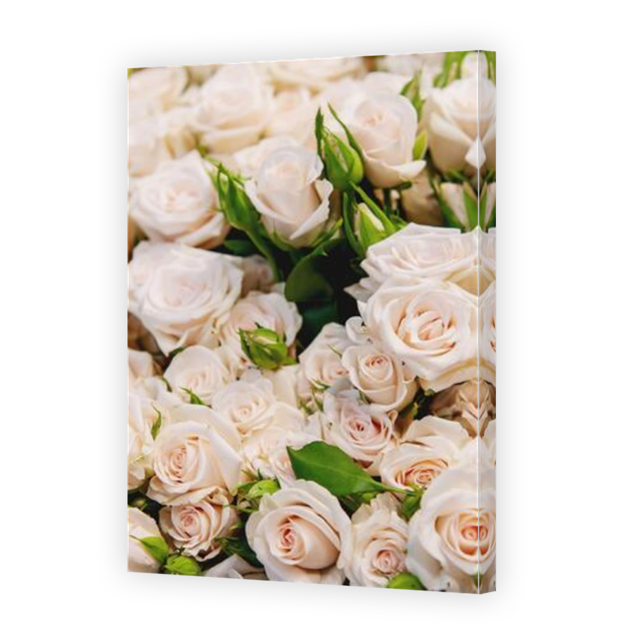 Thumbnail for Canvas - Mirror Image Canvas Wrap