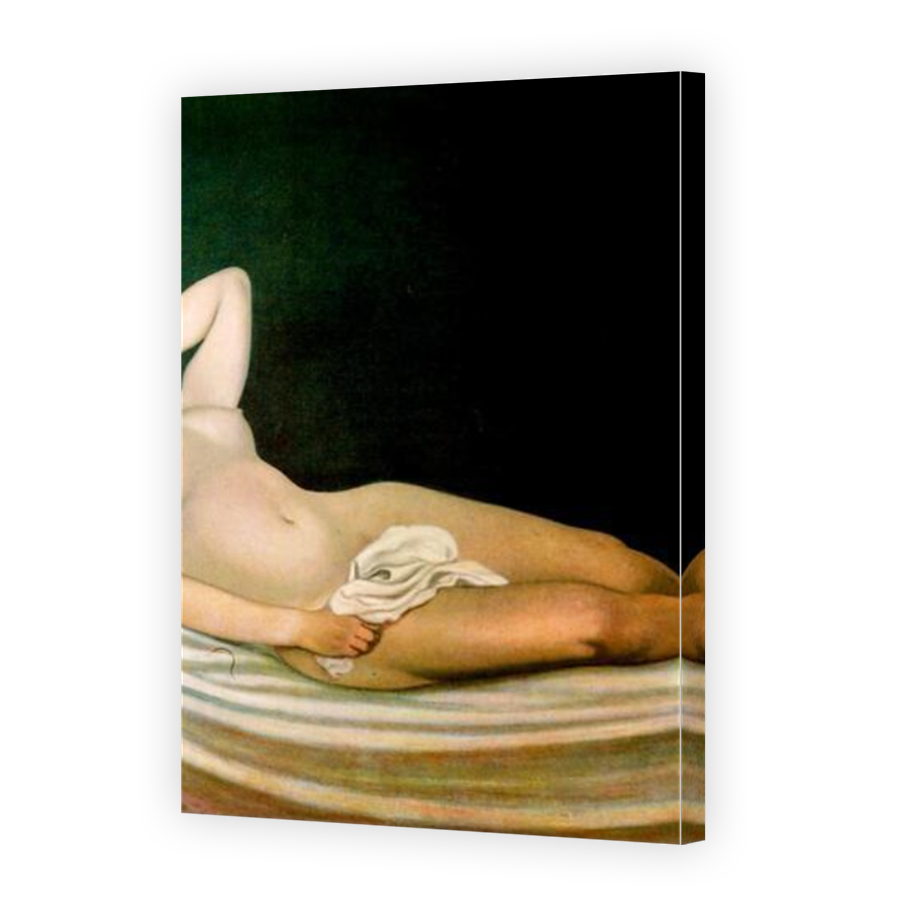 Thumbnail for Canvas - Mirror Image Canvas Wrap