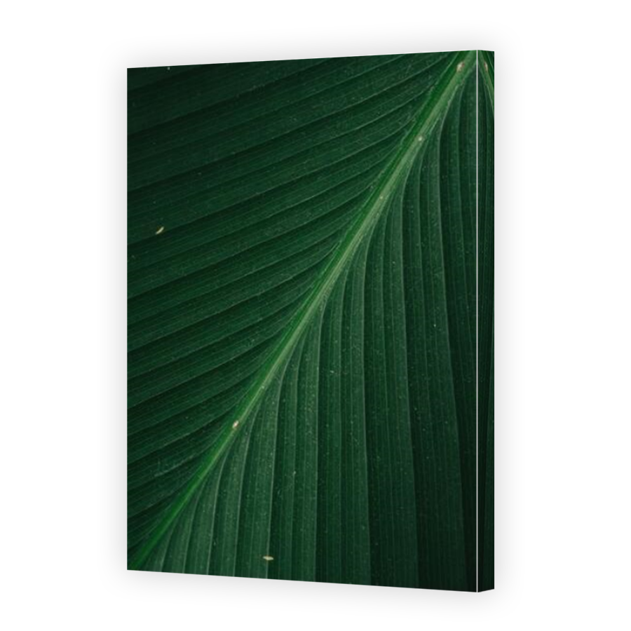 Thumbnail for Canvas - Mirror Image Canvas Wrap